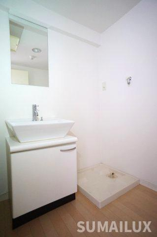 熊本市南区平田２丁目の賃貸マンションの独立洗面台