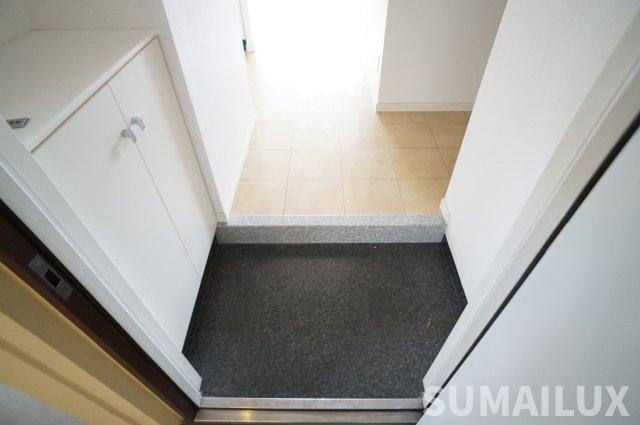 熊本市南区平田２丁目の賃貸マンションの玄関