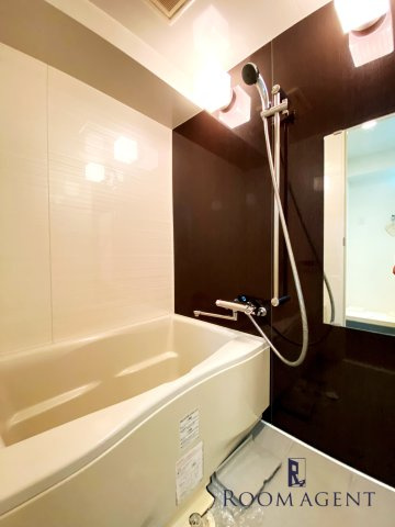 aLATO白壁(旧レジディア白壁)の浴室