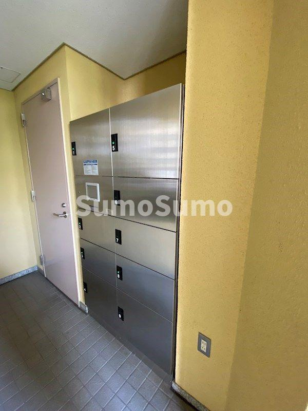 ドゥーエ学芸大学のその他