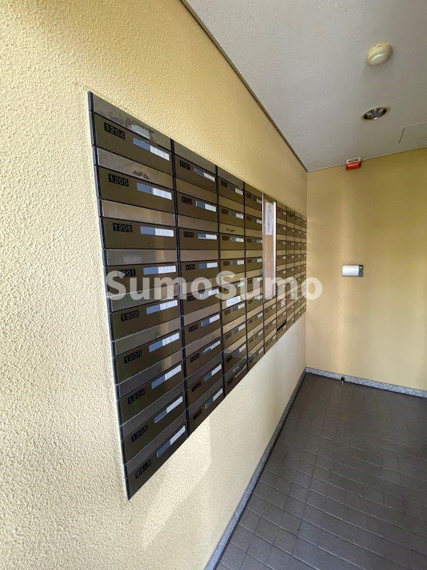 ドゥーエ学芸大学のその他