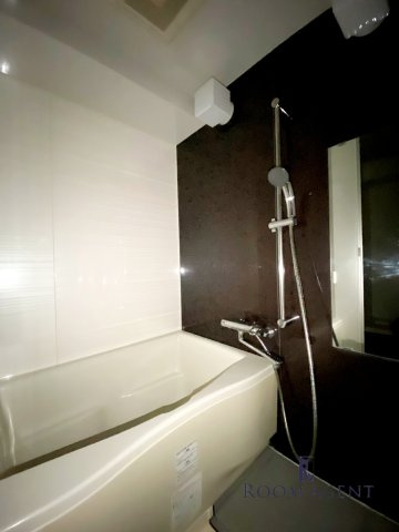 aLATO白壁(旧レジディア白壁)の浴室