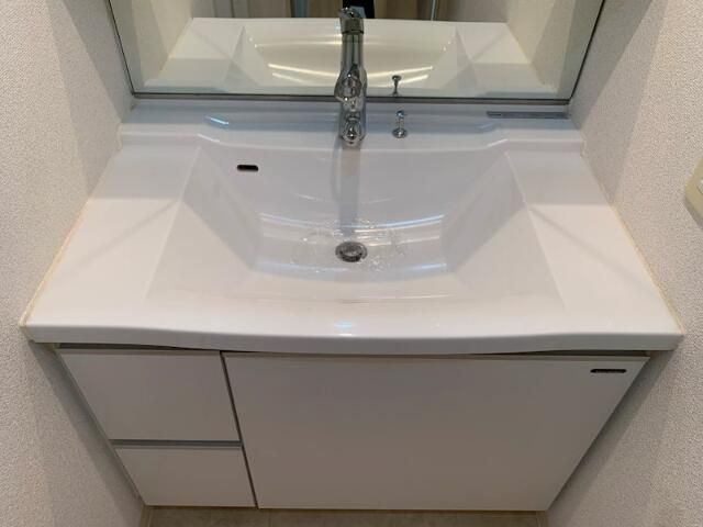 ダイナシティ台東三ノ輪の洗面所