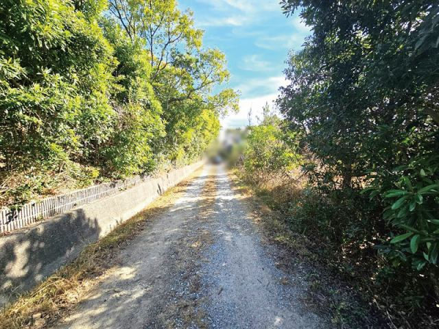 夜須町手結山　売土地の前面道路含む現地写真|前面道路含む現地写真です