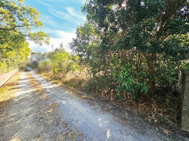 夜須町手結山　売土地の前面道路含む現地写真|前面道路含む現地写真です