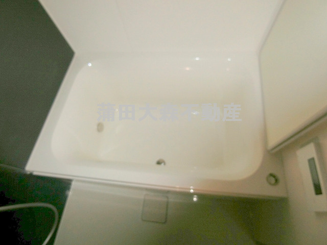 ブランシエスタ糀谷の浴室