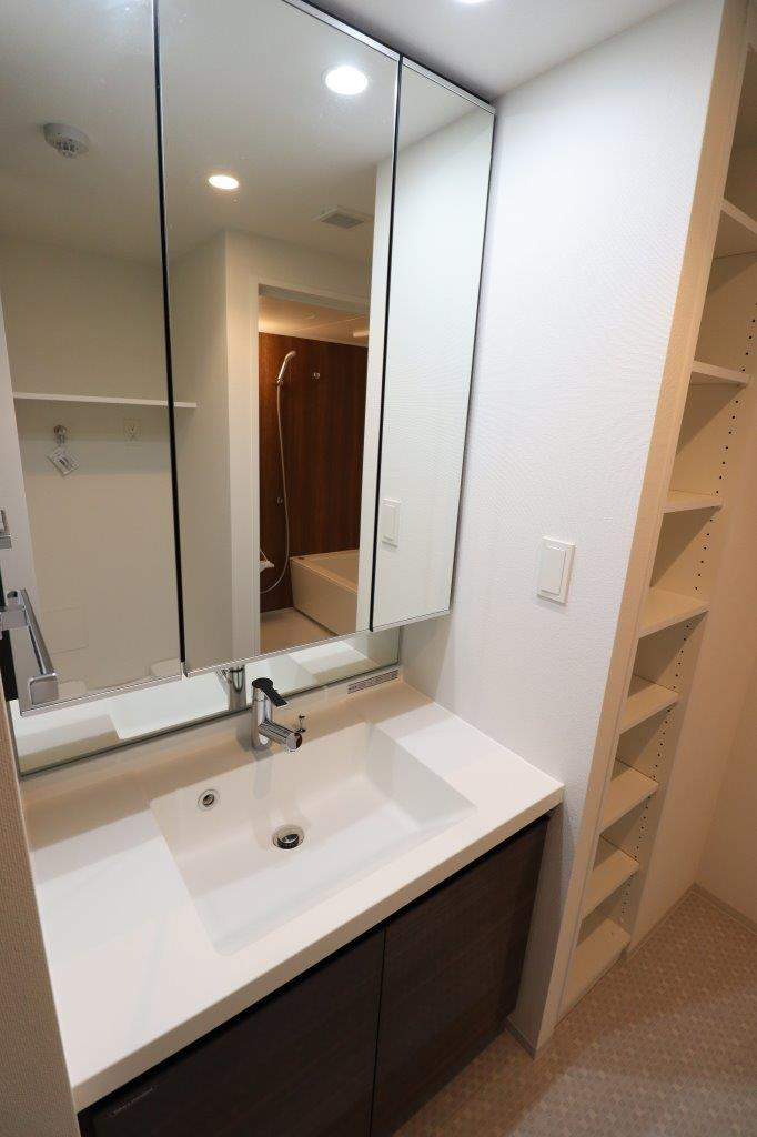 GENOVIA板橋東山町skygardenの洗面所