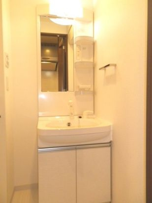 グラントゥルース巣鴨の洗面所