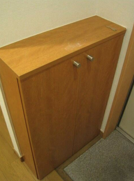 ヴィラークパレスのその他|シューズボックス