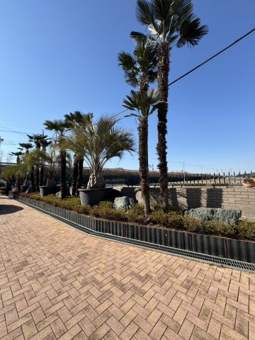 栃木県真岡市下籠谷4539-2の庭