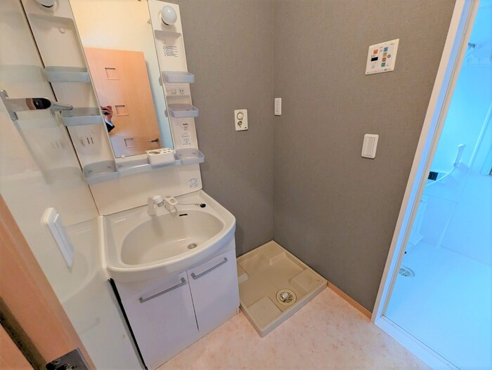 サンクレア Ⅴ の洗面所