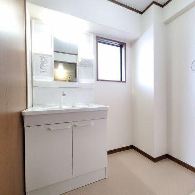 熊本市東区戸島西１丁目の賃貸マンションの洗面所