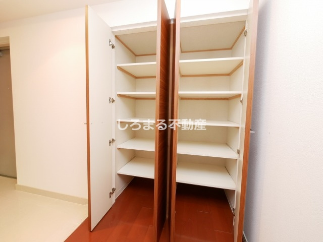 フロンティアタワー日本橋の収納