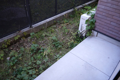 【庭】 | アコレ府中B棟