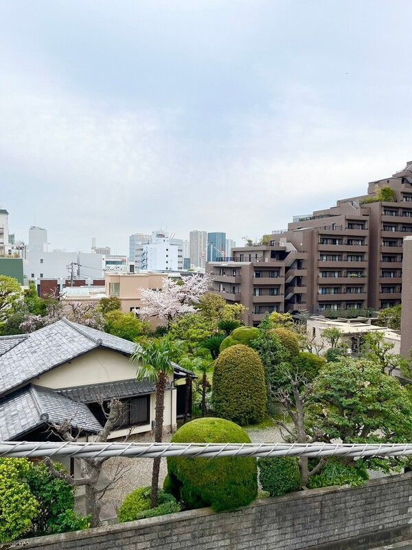 MAISON DE Mの展望