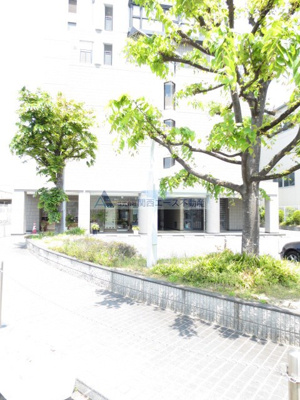  | スターリースカイテラニシ