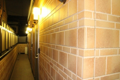 【その他共用部分】 | アーバンプレイス中井ⅡB | 共用廊下