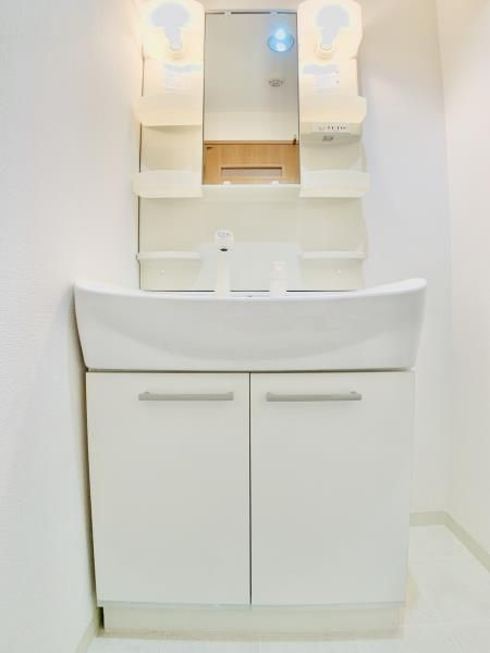 ドミール平和台の洗面所