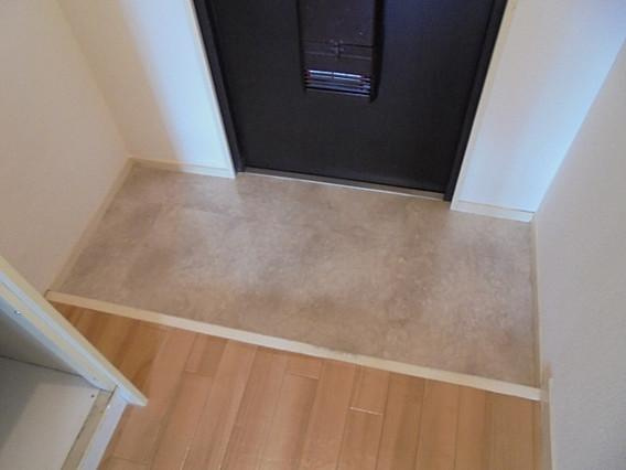 ダイドーメゾン青木IIの玄関