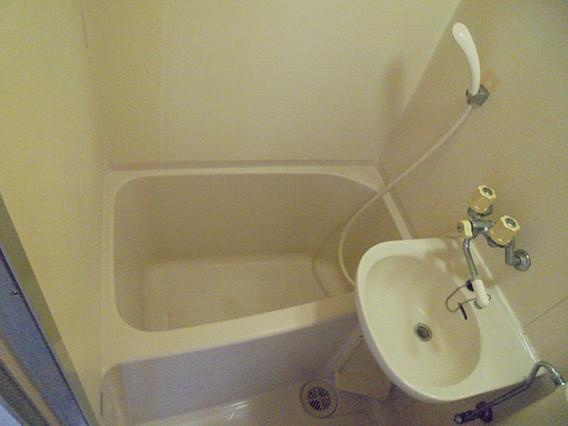 ダイドーメゾン青木IIの浴室