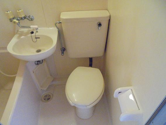 ダイドーメゾン青木IIのトイレ|1