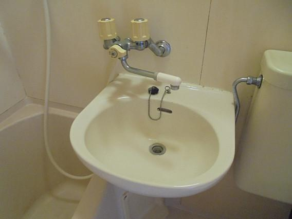 ダイドーメゾン青木IIの洗面所