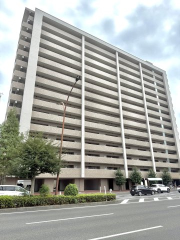 アルファステイツ大学病院通りの画像