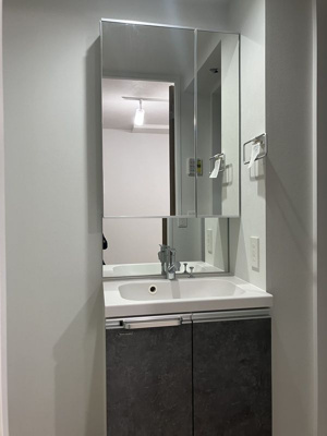 【独立洗面台】 | LUORE文京本駒込