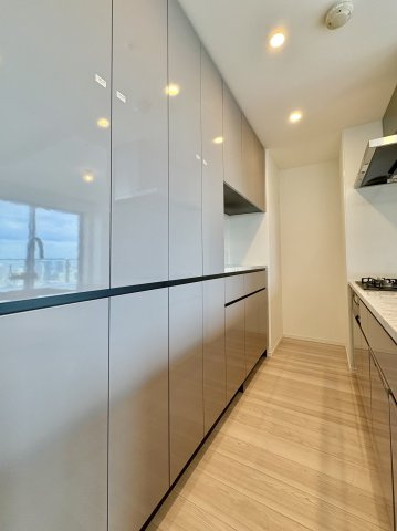 SKY DUO PARK VILLAGE T棟  47階のその他|収納スペースが豊富なキッチンです。食洗機、ディスポーザー、浄水器、カップボードが設置されています。