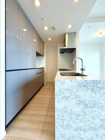 SKY DUO PARK VILLAGE T棟  47階のキッチン|収納スペースが豊富なキッチンです。食洗機、ディスポーザー、浄水器、カップボードが設置されています。