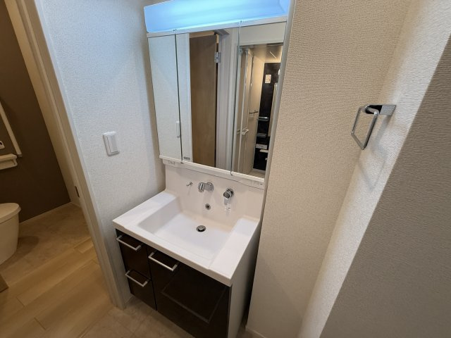 金絲雀の独立洗面台