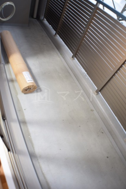 大阪市中央区高津１丁目の賃貸マンションのバルコニー