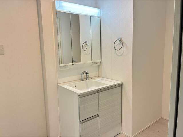 グラファーレ宇都宮市新町２棟　新築一戸建ての独立洗面台