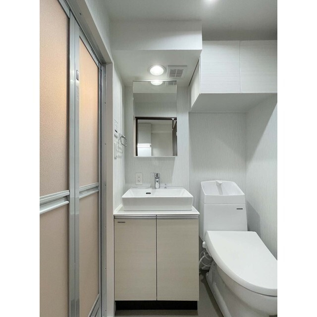 ウェルスクエアイズム上北沢の洗面所