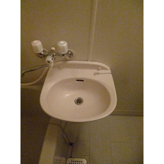 アセンズシティ２の洗面所|洗面ボウル