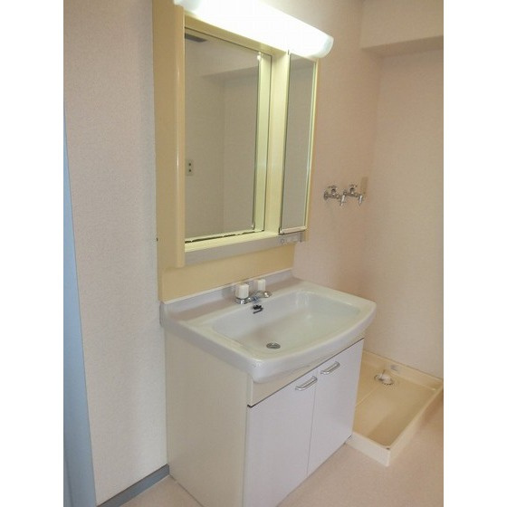 パシフィック麻布マンションの洗面所|洗面所