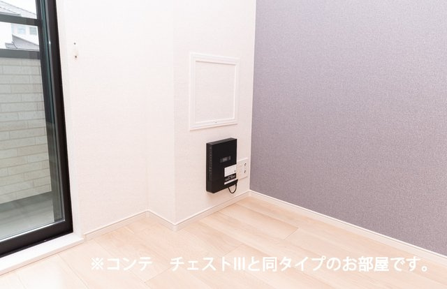 サリタエレガンテのその他