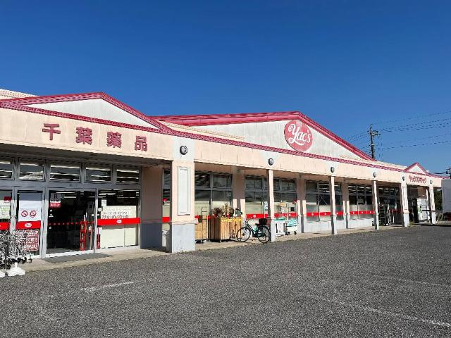 ブルー　スカイ（BLUE SKY）の周辺|ヤックスドラッグ野田店まで1,053ｍ
