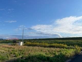 【周辺】 | レオネクストカサデエスペランサ