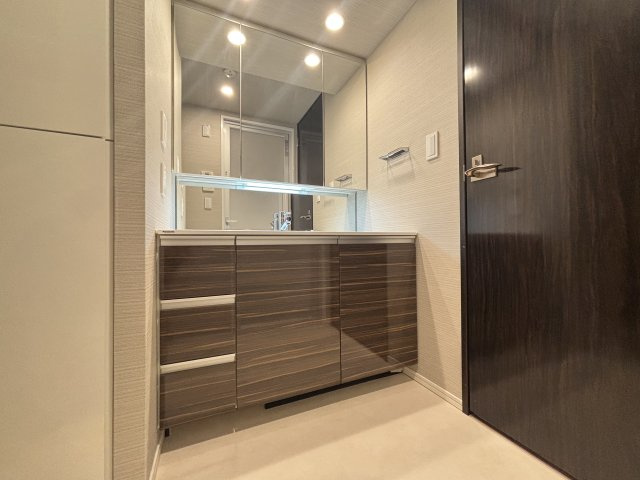 シティタワー銀座東の独立洗面台