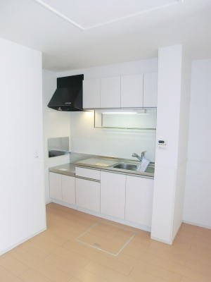 グラースメゾン泗水Ｄのキッチン