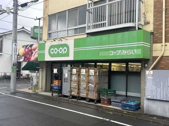 レオパレスルシータ２１の周辺