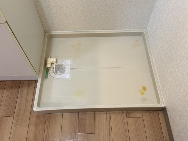 プロニティハウスのその他