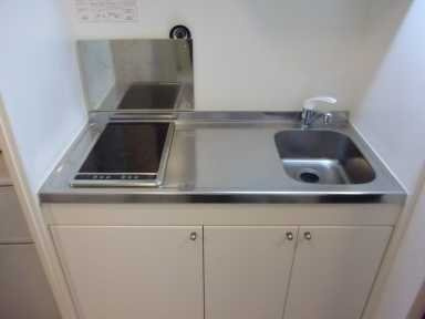 レオネクストパサージュⅠのキッチン