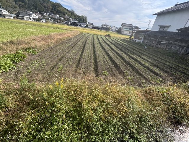 鏡野町古川　売土地　183坪の外観
