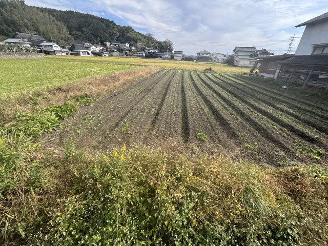鏡野町古川　売土地　183坪の外観