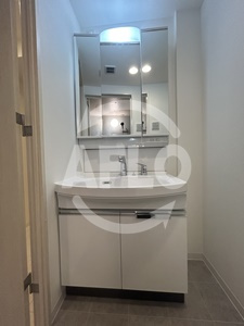 コンフォリア・リヴ谷町九丁目ソルテラスの洗面所|コンフォリア・リヴ谷町九丁目ソルテラス　洗面所