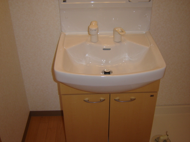 ウイステリアハウスの独立洗面台|洗面