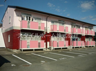 ニューシティリトルパインの画像