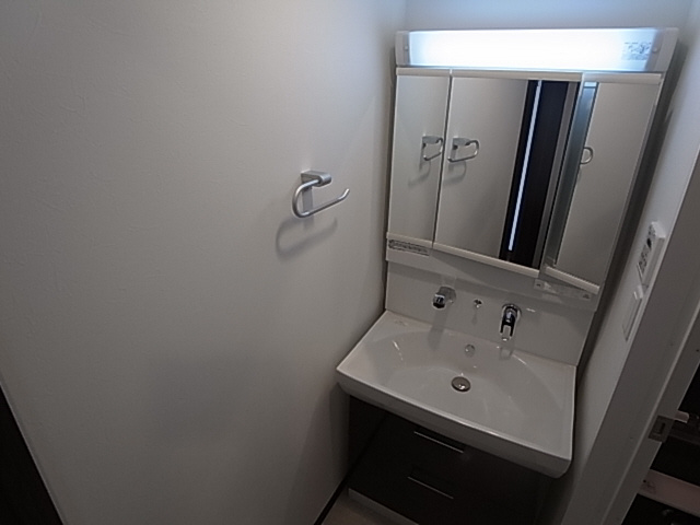 神戸市兵庫区三川口町１丁目の賃貸マンションの洗面所|シャンプードレッサー